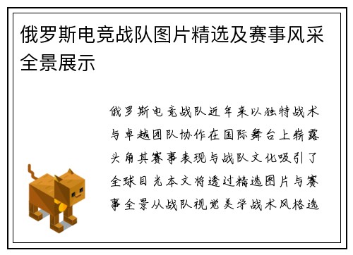 俄罗斯电竞战队图片精选及赛事风采全景展示