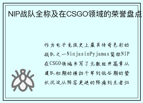 NIP战队全称及在CSGO领域的荣誉盘点